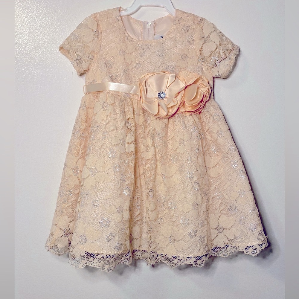 💘Fancy Toddler Dress (18 mos)